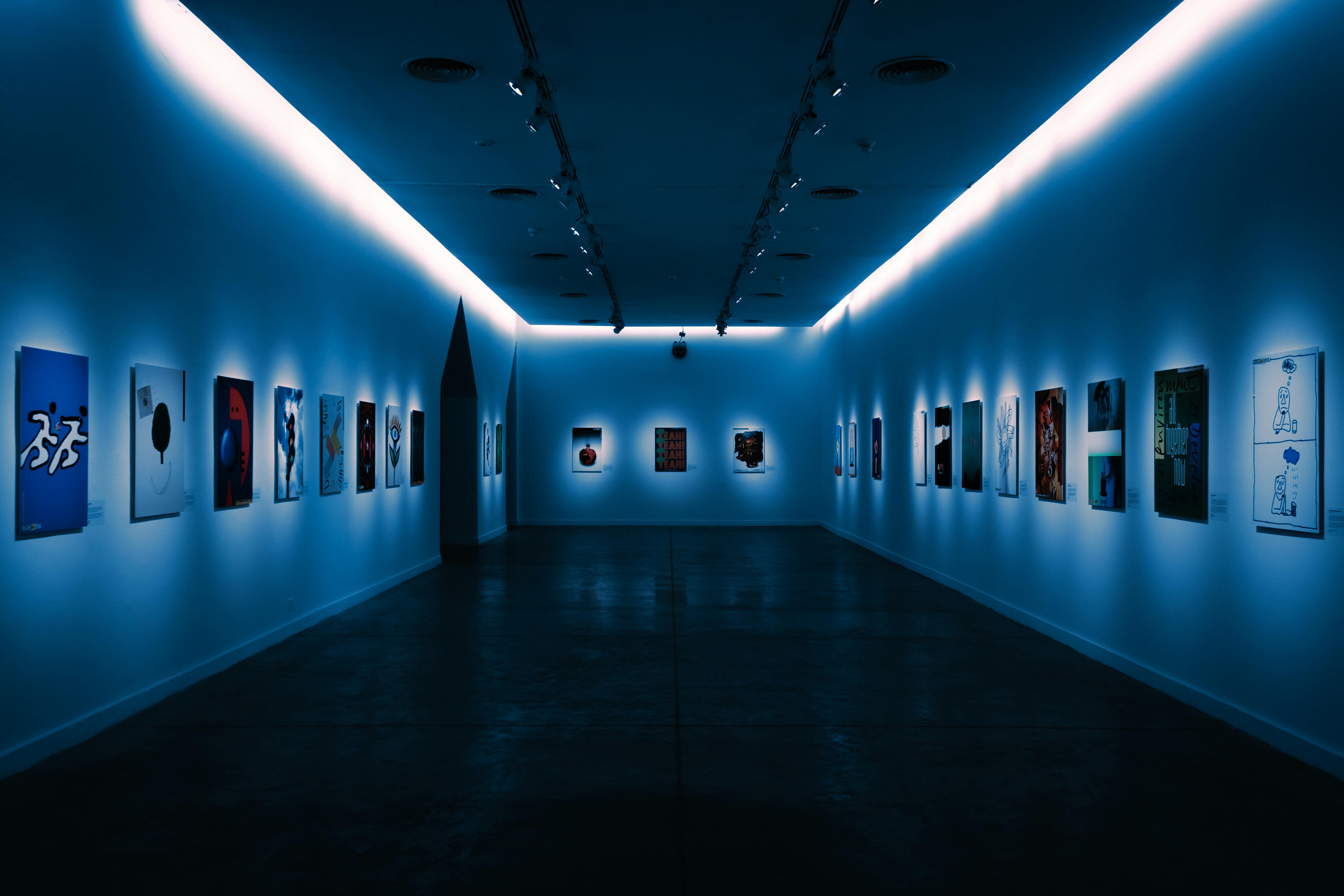Matthew Focht Gallery