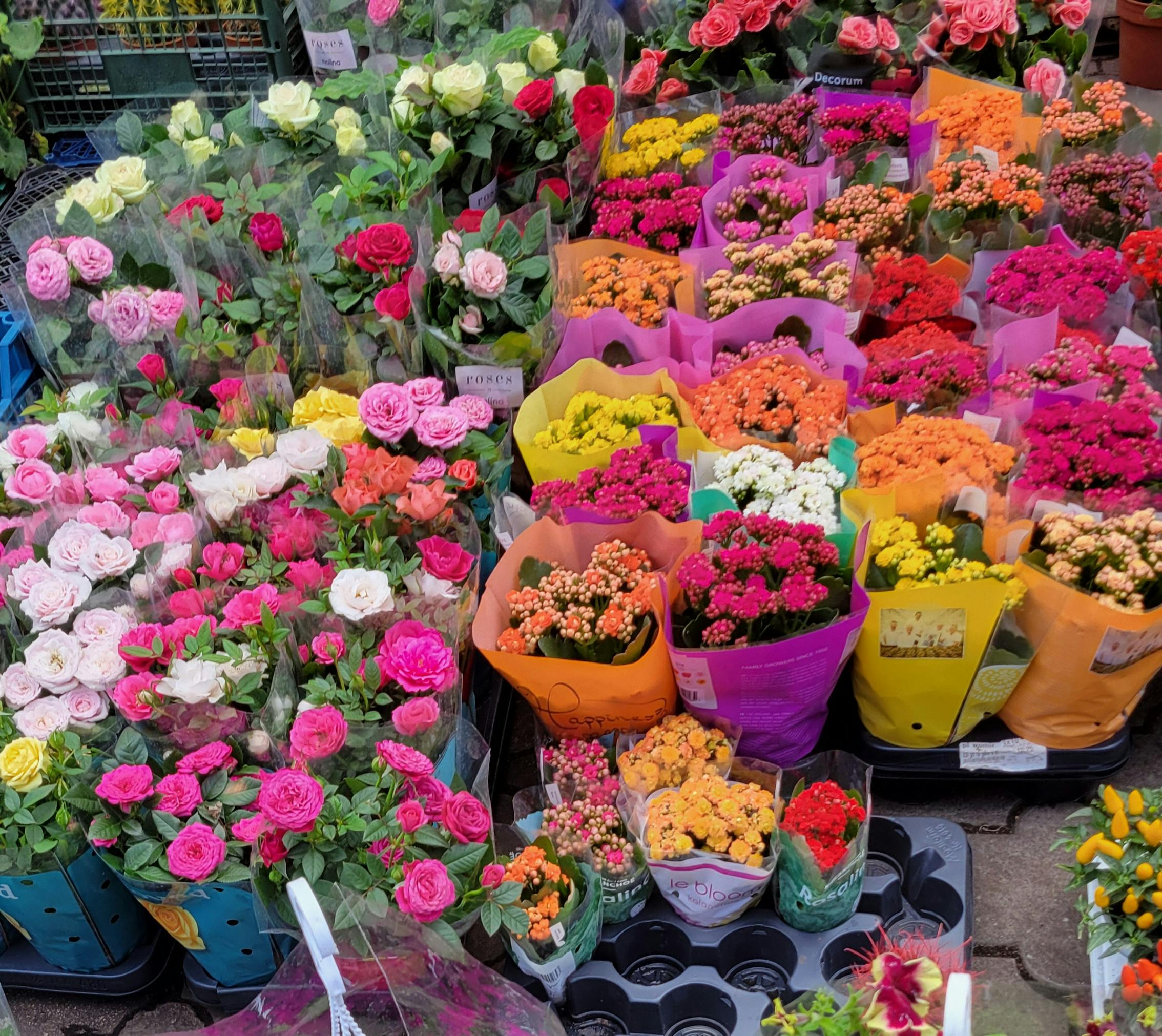 Anaheim Hills Florist